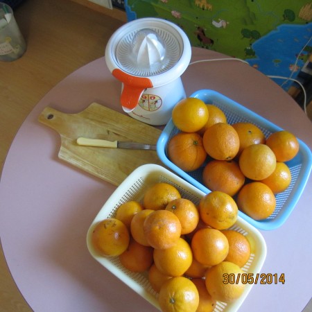 zumo de naranja (1)