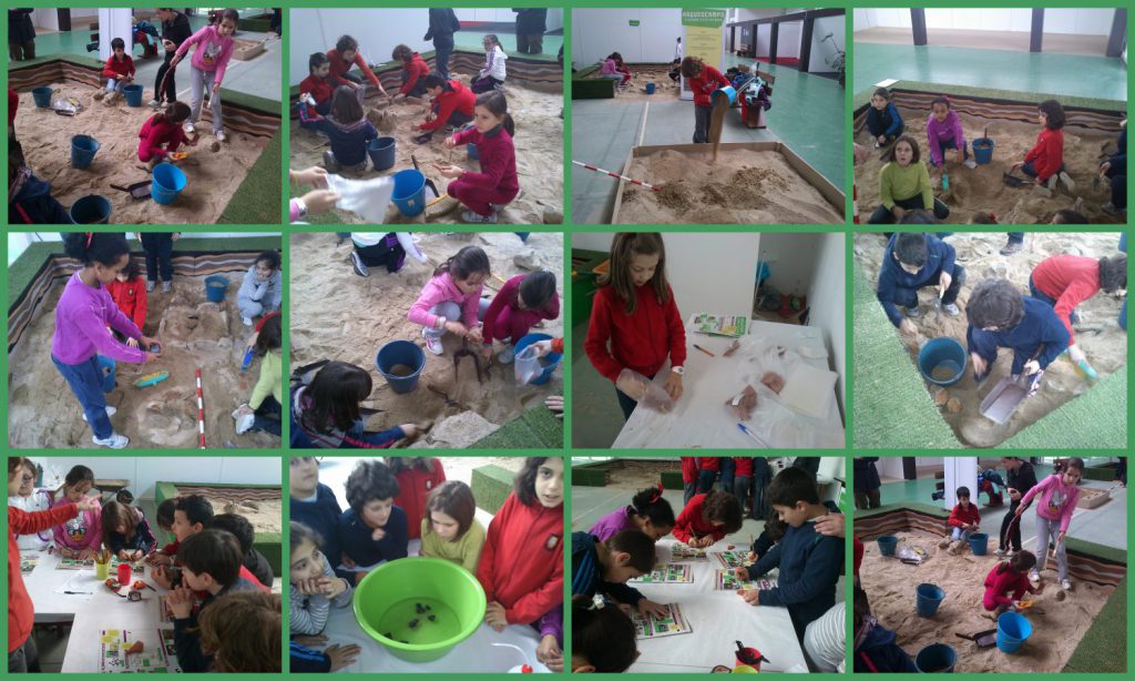 arqueocampo 4º1